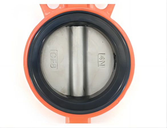 Butterfly Valve show
